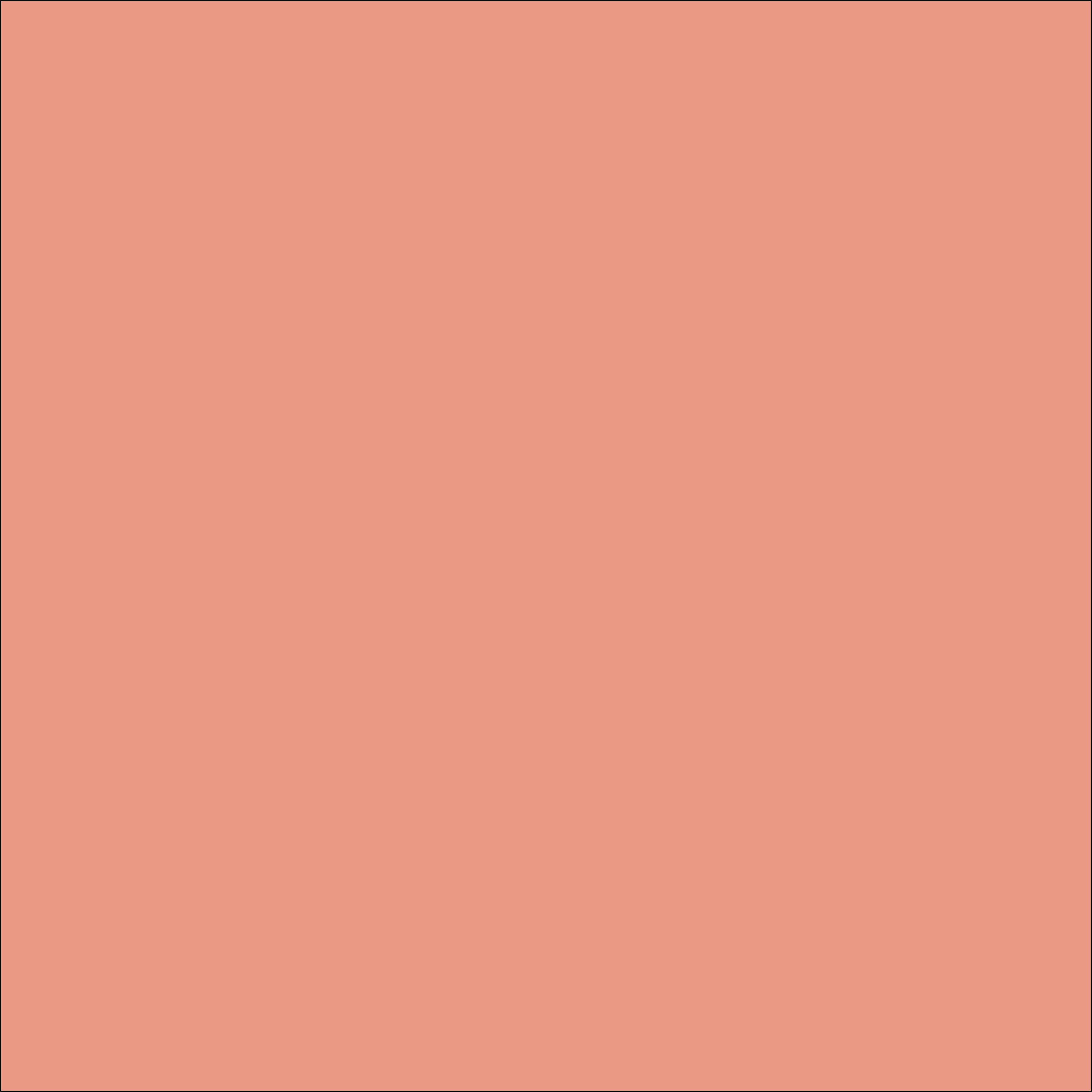 Craft Coral HTV Vinyl 12