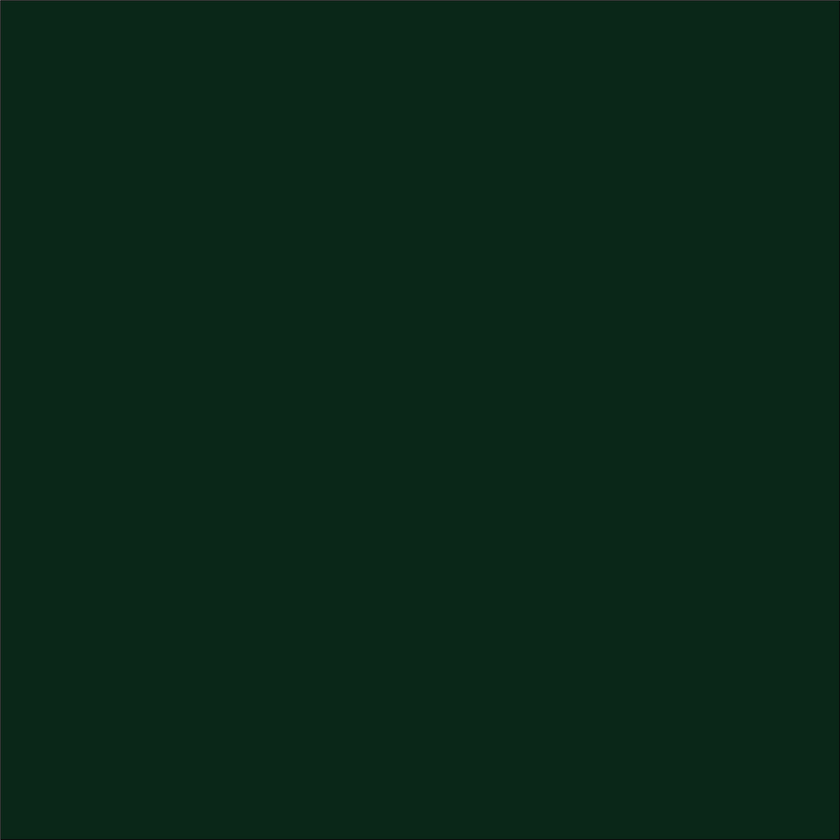 Craft Green HTV Vinyl 4.5