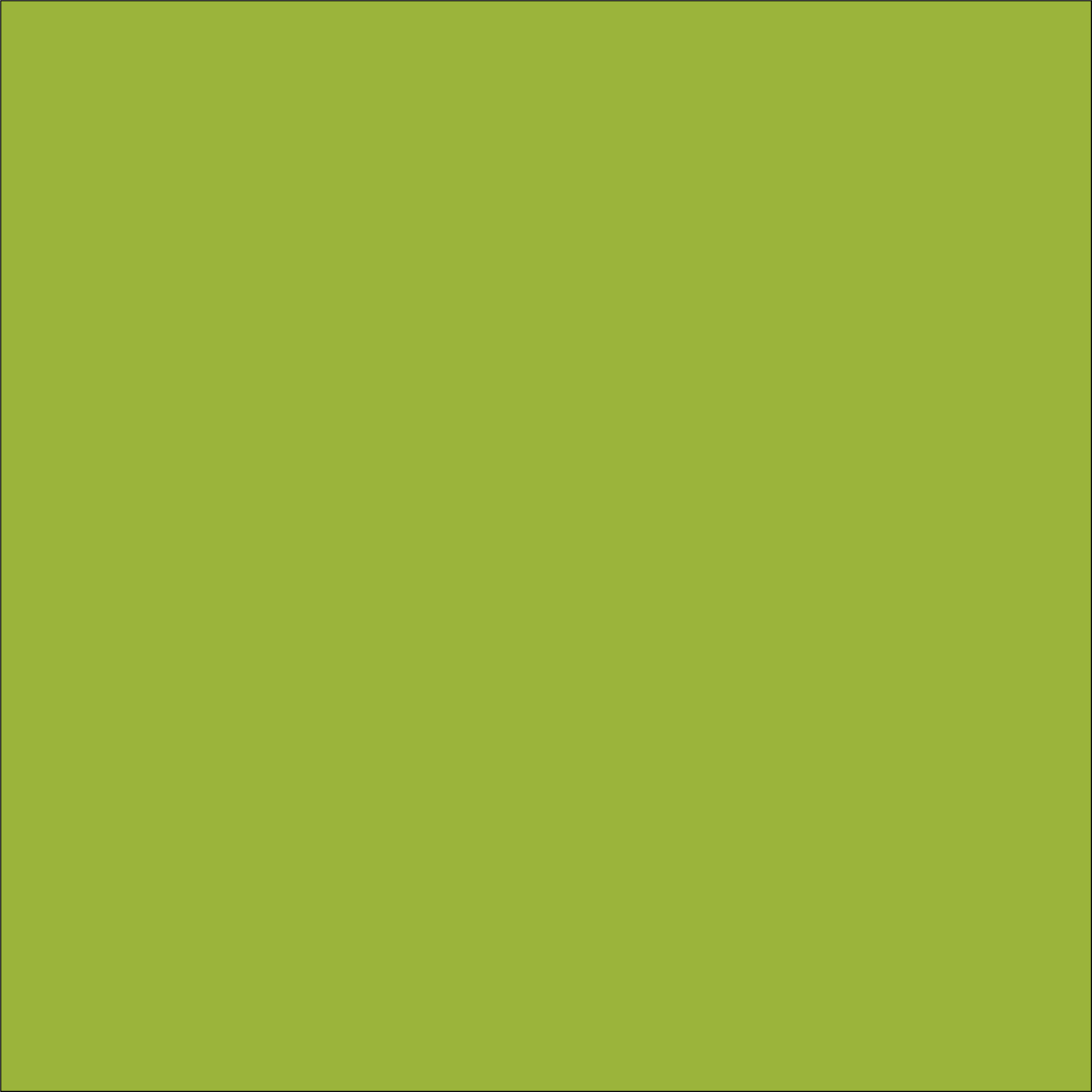 Craft Lime HTV Vinyl 4.5