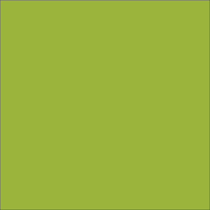 Craft Lime HTV Vinyl 4.5