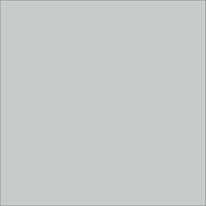 Craft Silver HTV Vinyl 4.5