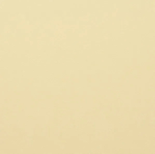 Clairefontaine - Maya Cardstock 120lb Paper - 20x28