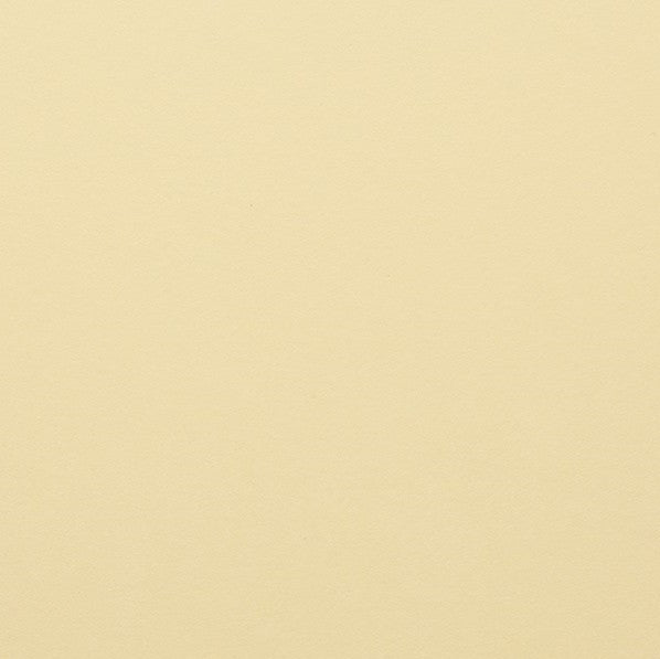 Clairefontaine - Maya Cardstock 120lb Paper - 8¼x11¾