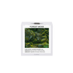 Cube vapeur pour la douche - Forest Moss