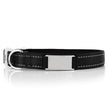 Customized Nylon Dog Collar
