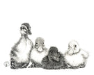 Cute Baby Ducklings - nursery wall decor