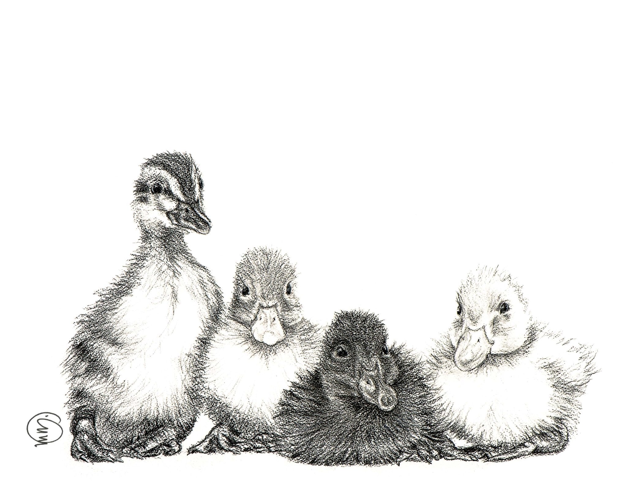 Cute Baby Ducklings - nursery wall decor