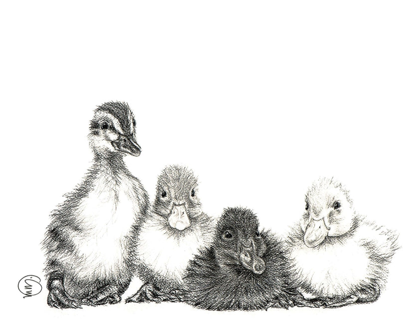 Cute Baby Ducklings - nursery wall decor