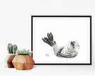 Cute Baby Seal,  Black and White Nursery Wildlife Art Print