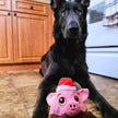 Little Piggie - Christmas 3 in 1 Plush Dog Toy