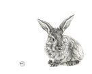 Cute Rabbit Profile - Black and White Nursery Wildlife Art Print