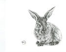 Cute Rabbit Greeting Card