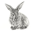Cute Rabbit Profile - Black and White Nursery Wildlife Art Print