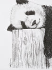 Cute sleeping Panda - Black and white art print