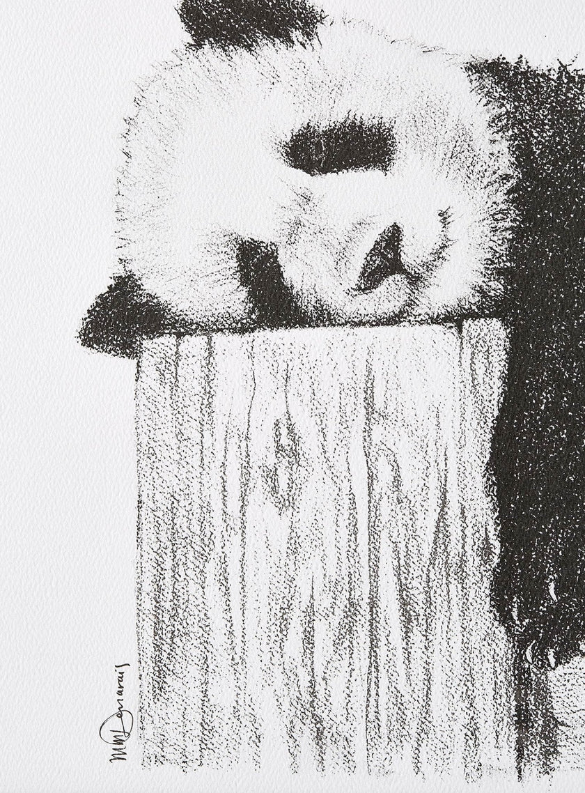 Cute sleeping Panda - Black and white art print