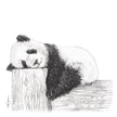 Cute sleeping Panda - Black and white art print