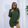 Elegant Autumn Winter Mini Turtleneck Sweater Dress