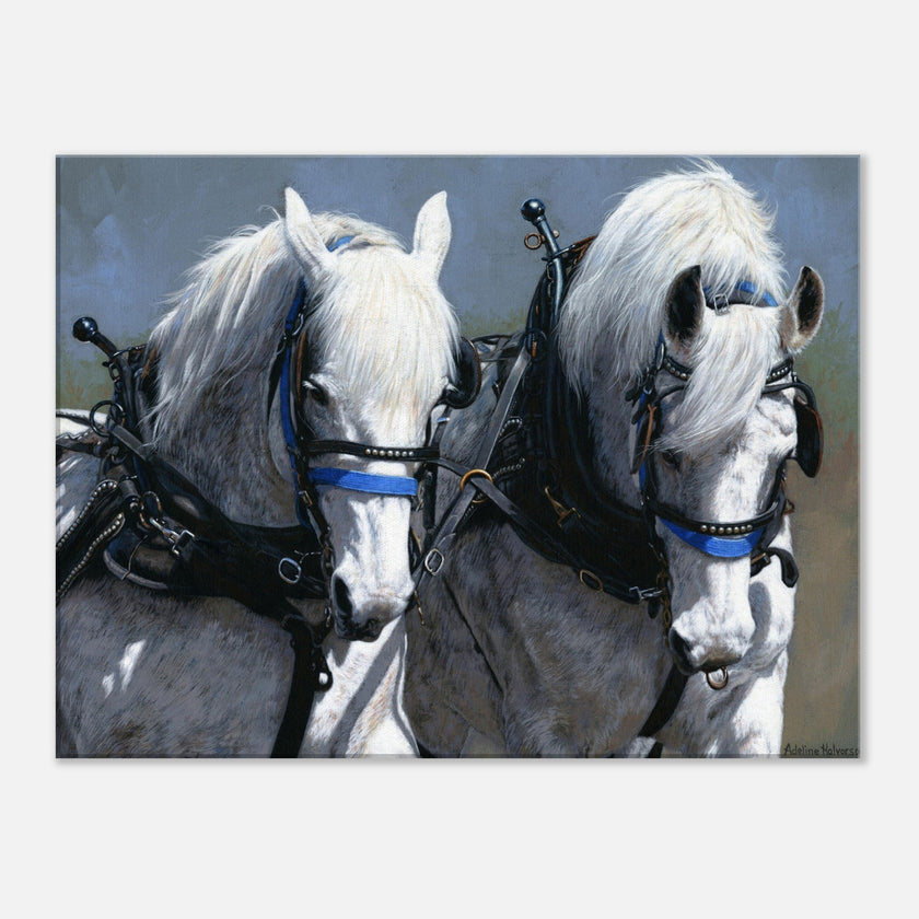 POWER AND GRACE Canvas Print