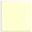 Envelopes 5x5 20 pack