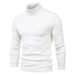 Men's Plain Slim Pullover Polo Sweatshirt Turtleneck Sweater Winter Casual Tops Men