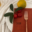 Cotton Raw Edge Placemats for Dining Table – 34 Colors, 42x42cm