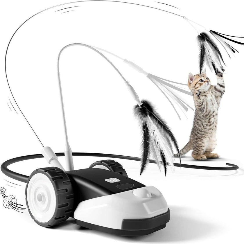 Remote Control Cat Toy Car with Feather Wand for Indoor Cats