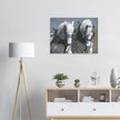 POWER AND GRACE Fine art print