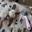 Hair Grooming Brush comb For Pet Dog Cat Deshedding comb