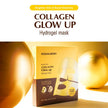 Eqqualberry Collagen Glow up Hydrogel Mask - 1 BOX / 4 PCS