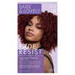 DARK & LOVELY FADE RESIST - 374 RICH AUBURN