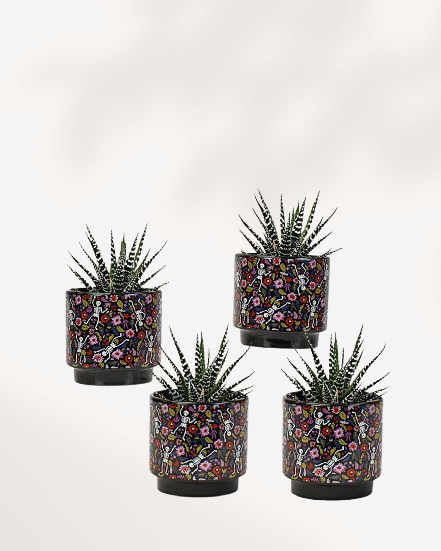 Day of the Dead Pot