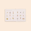 Paige Tate & Co. - Our Little Adventures Box Set for Kids (3 Board Books)