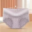 Women's Plus Size Nylon Lace Mid-Waist Slimming Briefs Shaping Underwear