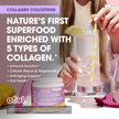 Obvi. Collagen Colostrum - Lemon Sorbet