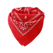 Europe Bound Bandanas 5 pack