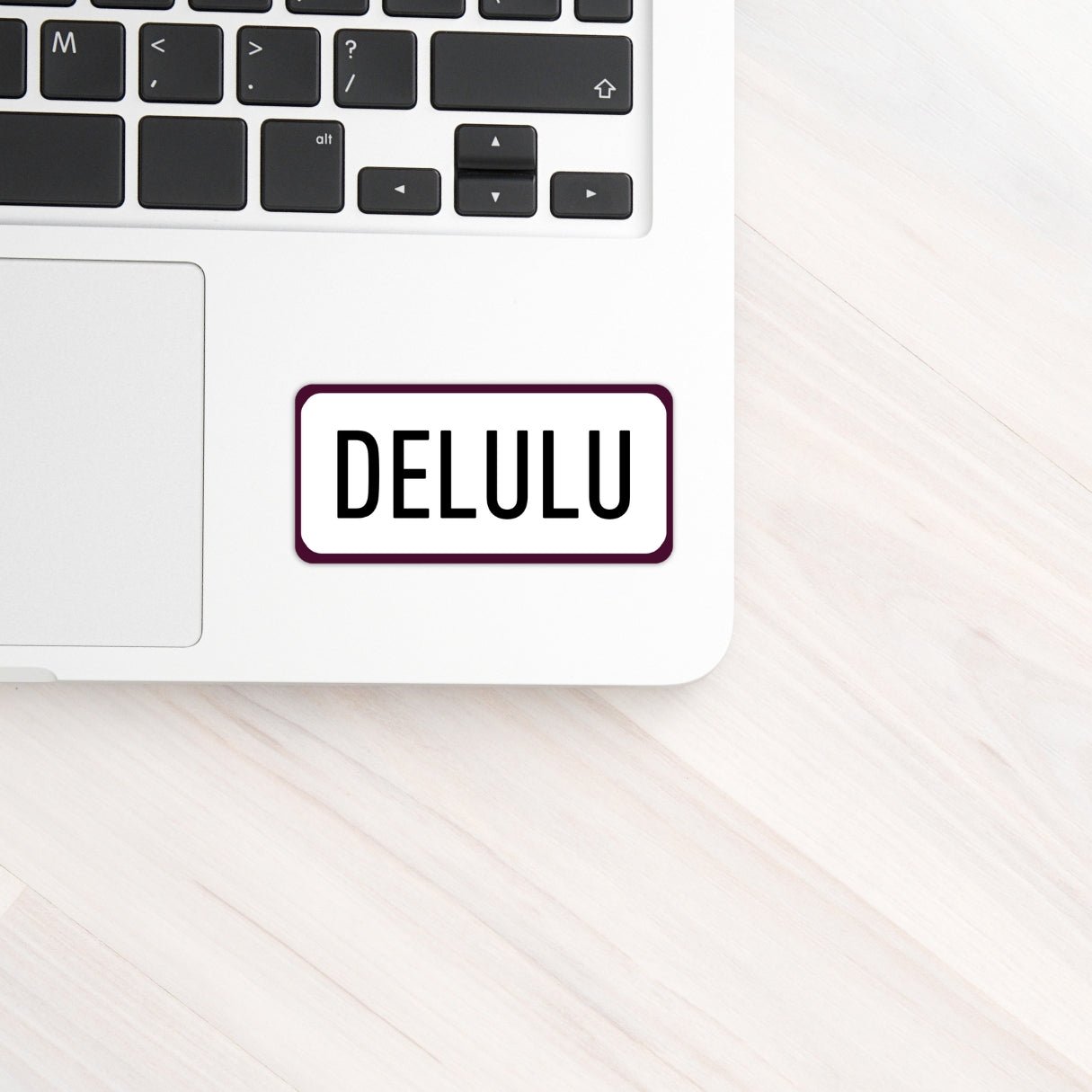Delulu Positive Mindset Vinyl Sticker