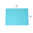Disposable Dental Bibs 3 Ply - 13