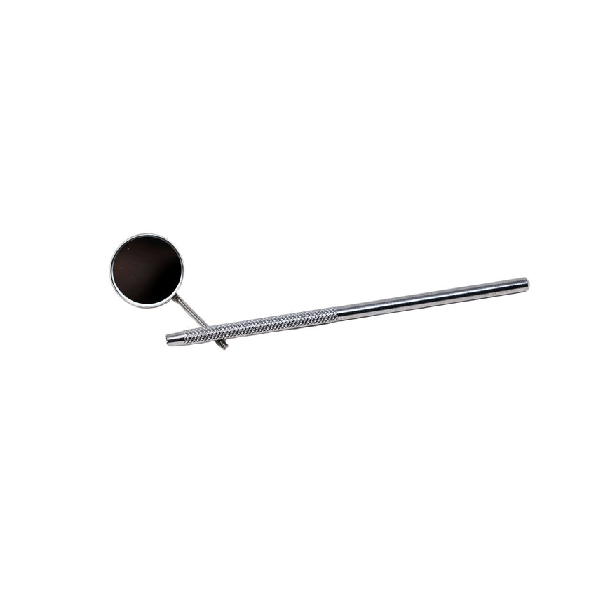 Mirror Handle Simple Stem - 1/pk