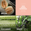 Dew Kissed Mornings | Honey Dew + Cucumber