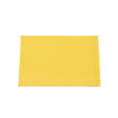 Disposable Dental Bibs 3 Ply - 13