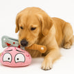 Brain Suey | Crinkly Squeaky Plush Dog Toy
