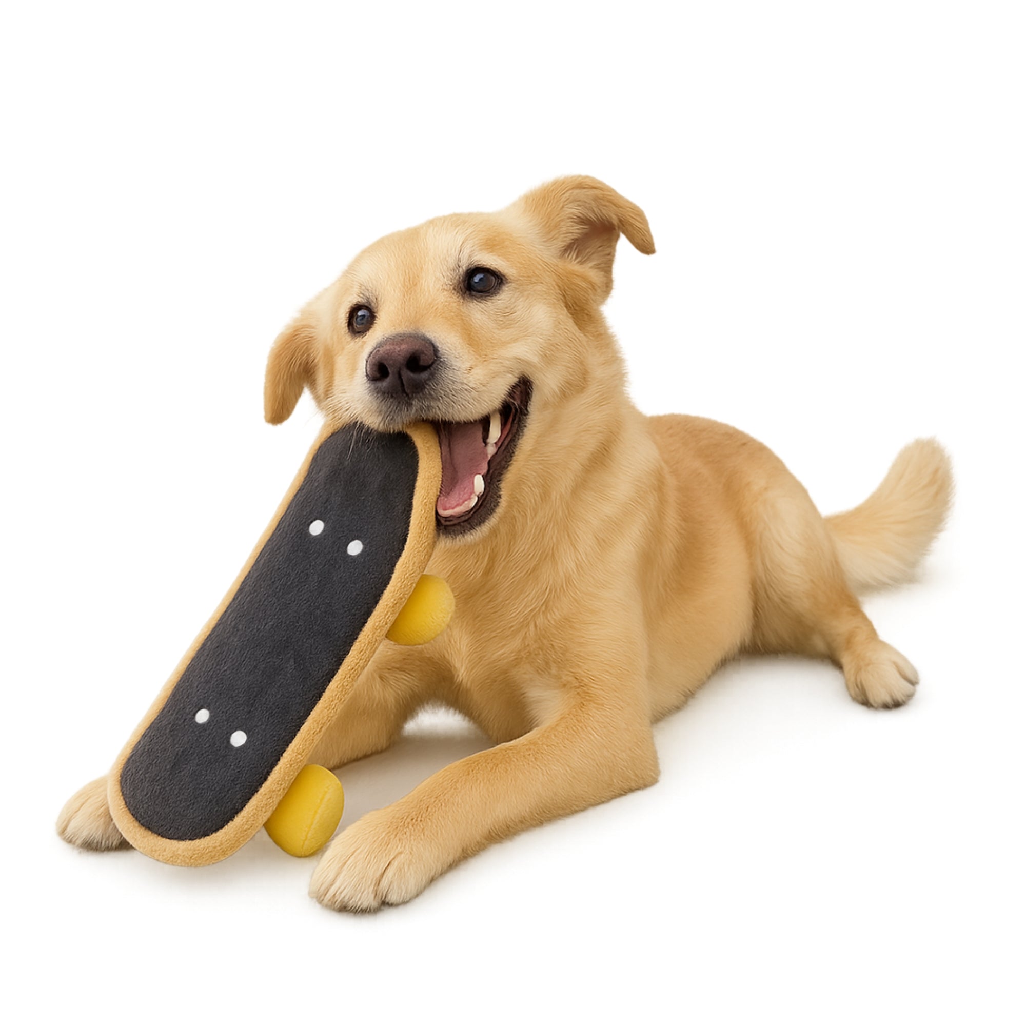 Skateboard | Crinkly Squeaky Plush Dog Toy