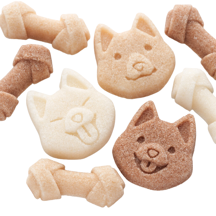 Dog Cafe