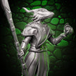 Dragonborn Sorceress | Staff & Cantrip | 5e