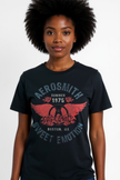 Aerosmith Summer 75 T-Shirt (Black)