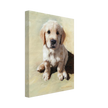 Take Me Home Canvas Reproduction