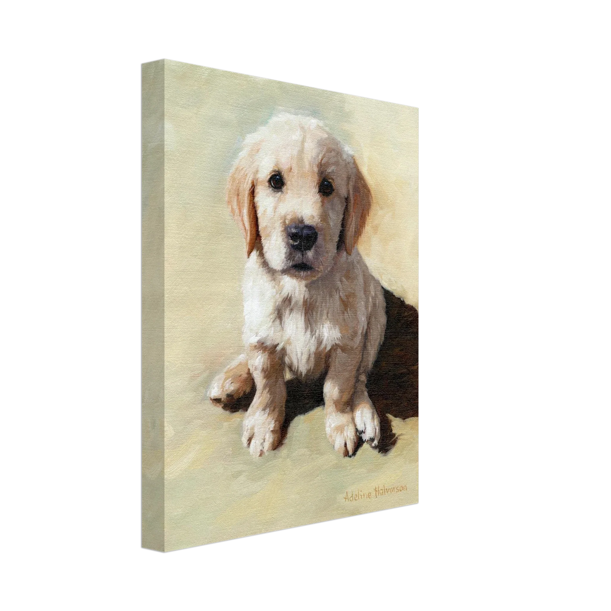 Take Me Home Canvas Reproduction