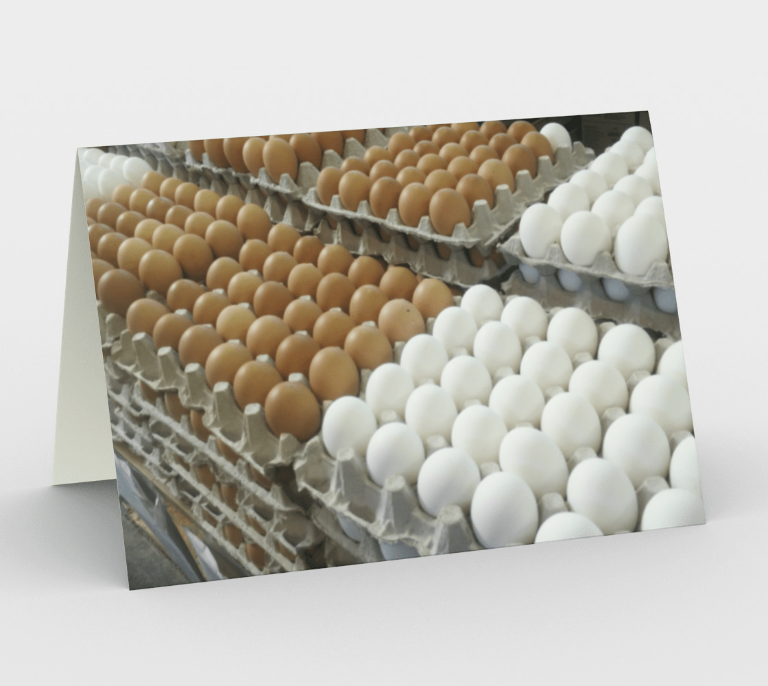 Set of 3 Blank Greeting Cards | 5 x 7 | Eggs