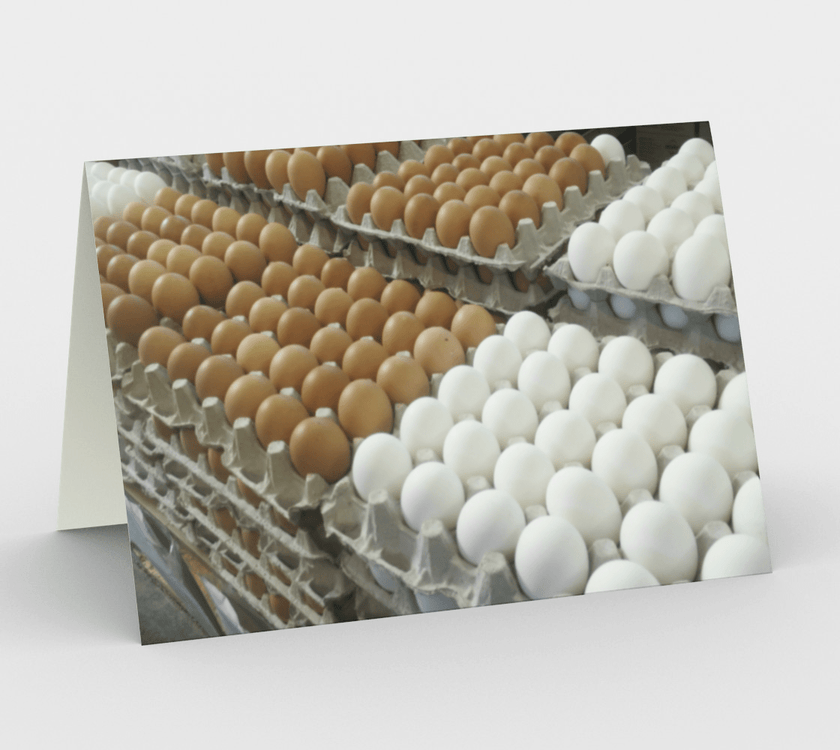 Set of 3 Blank Greeting Cards | 5 x 7 | Eggs