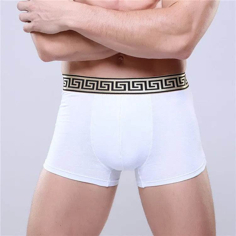 Men's Cotton Boxer Briefs Casual Solid Color Mid Waist underwear